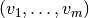 (v_1, \ldots ,v_m)