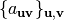\{a_{\vec{u}\vec{v}}\}_{\vec{u},\vec{v}}