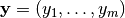 \vec{y} = (y_1,\ldots,y_m)