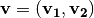 \vec{v}=(\vec{v_1} , \vec{v_2})