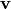 \vec{v}