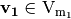 \vec{v_1} \in \gf{V_{m_1}}
