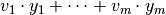 v_1 \cdot y_1+ \cdots +v_m \cdot y_m