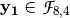 \vec{y_1} \in \funct{F}_{8,4}